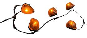 9c3t-15a404-ab Ford 2008-10 F250 F350 Cab Mounted Roof Overhead Clearance Lamps Lights With Harness Oem