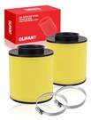 Air Filters For Honda Recon TRX250, Sportrax TRX250EX, TRX250X, 19972024. Fixed Price $25.06.