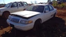 High Mounted Stop Light 3RD Brake Police Package Fits 98-03 Crown Victoria. Fixed Price $63.99.