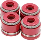 Moose Valve Stem Seal Kit #299608 For Yamaha 700R/RAPTOR. Fixed Price $18.91.