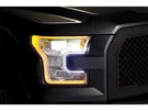 2015-2017 Ford F150 Light Bar Putco 48231XKST 2016. Fixed Price $191.06.