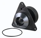 Water Pump Case Ih 7210 7220 7230 7240 7250 8950 8.3L 3804833RX F3HZ8501-BRM. Fixed Price $136.23.