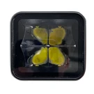Race Sport RS3TEMPCL Off-road Light 1007573. Fixed Price $155.88.