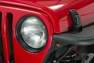 Fishbone Offroad FB21041 Amber Led's 3/4" Pair. Fixed Price $29.99.
