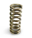 Proform Calibrated Test Spring 10-190LBS (BB1903). Fixed Price $52.99.